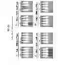 Fig. 22 - Reversible gene expression
