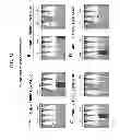 Fig. 25 - Reversible gene expression