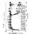 Fig. 28 - Reversible gene expression