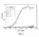 Fig. 09 - Anti-complement C1s