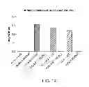 Fig. 13 - Anti-complement C1s