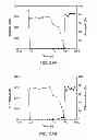 Fig. 41 - Anti-complement C1s
