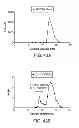 Fig. 46 - Anti-complement C1s