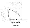 Fig. 47 - Anti-complement C1s