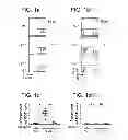 Fig. 02 - Compositions and methods for treating or preventing lupus