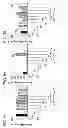 Fig. 06 - Compositions and methods for treating or preventing lupus