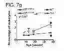 Fig. 09 - Compositions and methods for treating or preventing lupus