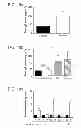 Fig. 23 - Compositions and methods for treating or preventing lupus