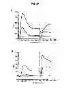 Fig. 35 - SINGLE-CHAIN MULTIVALENT BINDING PROTEINS EFFECTOR FUNCTION