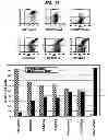 Fig. 63 - SINGLE-CHAIN MULTIVALENT BINDING PROTEINS EFFECTOR FUNCTION