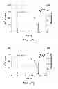 Fig. 41 - Methods of inhibiting activation of complement component C4 with anti-C1s antibodies