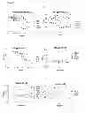 Fig. 06 - ANTIBODY DERIVATIVES
