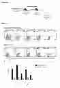 Fig. 22 - ANTIBODY DERIVATIVES