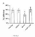 Fig. 02 - PHARMACEUTICAL COMPOSITIONS AND METHODS TO VACCINATE AGAINST CANDIDIASIS