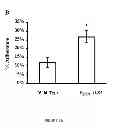 Fig. 03 - PHARMACEUTICAL COMPOSITIONS AND METHODS TO VACCINATE AGAINST CANDIDIASIS