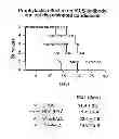 Fig. 01 - PHARMACEUTICAL COMPOSITIONS AND METHODS TO VACCINATE AGAINST CANDIDIASIS