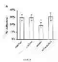 Fig. 02 - PHARMACEUTICAL COMPOSITIONS AND METHODS TO VACCINATE AGAINST CANDIDIASIS