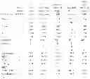 Fig. 02 - Formulation of human antibodies for treating TNF-α associated disorders