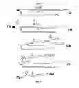 Fig. 03 - COMPOSITIONS AND METHODS FOR TREATING DISEASES OF PROTEIN AGGREGATION INVOLVING IC3B DEPOSITION