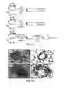 Fig. 02 - T Cell Regulation