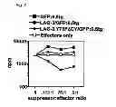 Fig. 08 - T Cell Regulation