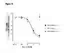 Fig. 06 - Antibodies to TGF-beta