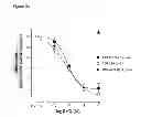 Fig. 08 - Antibodies to TGF-beta