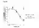 Fig. 09 - Antibodies to TGF-beta