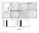 Fig. 04 - DETECTING, PREVENTING, AND TREATING BRONCHOPULMONARY DYSPLASIA