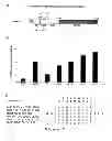 Fig. 08 - Agent for the Treatment of Hormone-Dependent Disorders and Uses Thereof