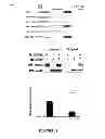 Fig. 09 - Agent for the Treatment of Hormone-Dependent Disorders and Uses Thereof