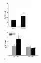 Fig. 02 - TARGETING HK alpha FOR CONTROLLING BLOOD PRESSURE AND REGULATING ELECTROLYTE BALANCE