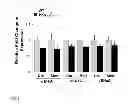 Fig. 08 - TARGETING HK alpha FOR CONTROLLING BLOOD PRESSURE AND REGULATING ELECTROLYTE BALANCE