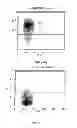Fig. 04 - Humanised anti-CD52 antibodies