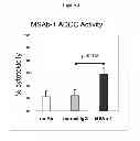 Fig. 03 - Anti-mesothelin antibodies