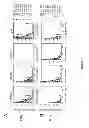 Fig. 06 - METHODS, SYSTEMS AND PRODUCTS FOR PREDICTING RESPONSE OF TUMOR CELLS TO A THERAPEUTIC AGENT AND TREATING A PATIENT ACCORDING TO THE PREDICTED RESPONSE