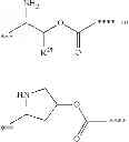 Fig. 204 - Novel Binder-Drug Conjugates (ADCs) and Use of Same