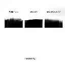 Fig. 05 - Pharmaceutical compositions and methods to vaccinate against candidiasis