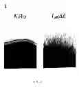 Fig. 06 - Pharmaceutical compositions and methods to vaccinate against candidiasis