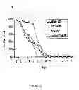 Fig. 09 - Pharmaceutical compositions and methods to vaccinate against candidiasis