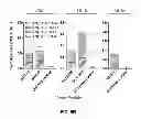 Fig. 07 - Vaccines for HSV-2
