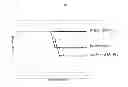 Fig. 17 - Influenza virus mutants and uses therefor