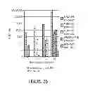 Fig. 37 - Influenza virus mutants and uses therefor