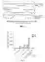 Fig. 05 - Biodegradable particulate formulations
