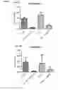 Fig. 06 - Viral Vector Immunogenic Compositions