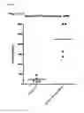 Fig. 13 - Viral Vector Immunogenic Compositions