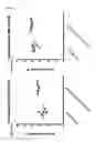 Fig. 15 - Viral Vector Immunogenic Compositions