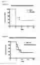 Fig. 26 - Viral Vector Immunogenic Compositions