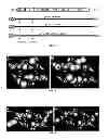 Fig. 03 - Flavivirus envelope protein mutations affecting virion disassembly