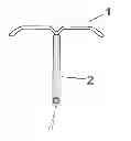 Fig. 01 - Intrauterine delivery system for contraception